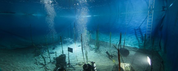 The Underwater Realm